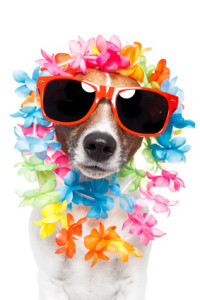 Partyspiele Hawaii Mottoparty